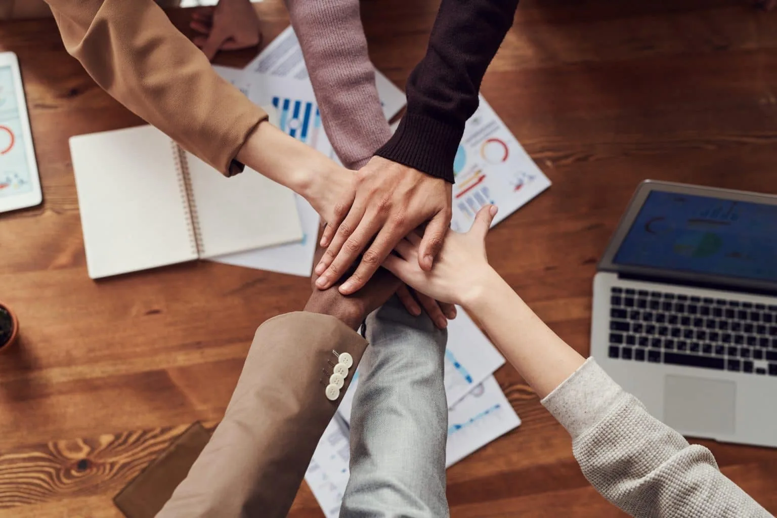 Business Niche: because today the niche wins
